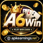 A6Win